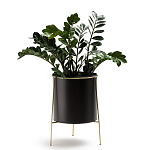 Кашпо из металла и латуни Elegance Elevated Planters черное варинант исполнения - 3 | Loft Concept в Липецке