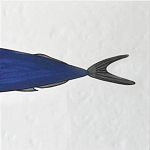 Плитка с узором Рыба пловчиха варинант исполнения - 6 | Loft Concept в Липецке