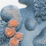 Тканый вручную Большой абстрактный гобелен Frost Forest варинант исполнения - 1 | Loft Concept в Липецке