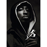 Подарочная книга величайший фотограф Альберт Уотсон The Vienna album Albert Watson варинант исполнения - 2 | Loft Concept в Липецке