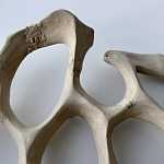 Блюдо «Бежевый коралл» варинант исполнения - 3 | Loft Concept в Липецке