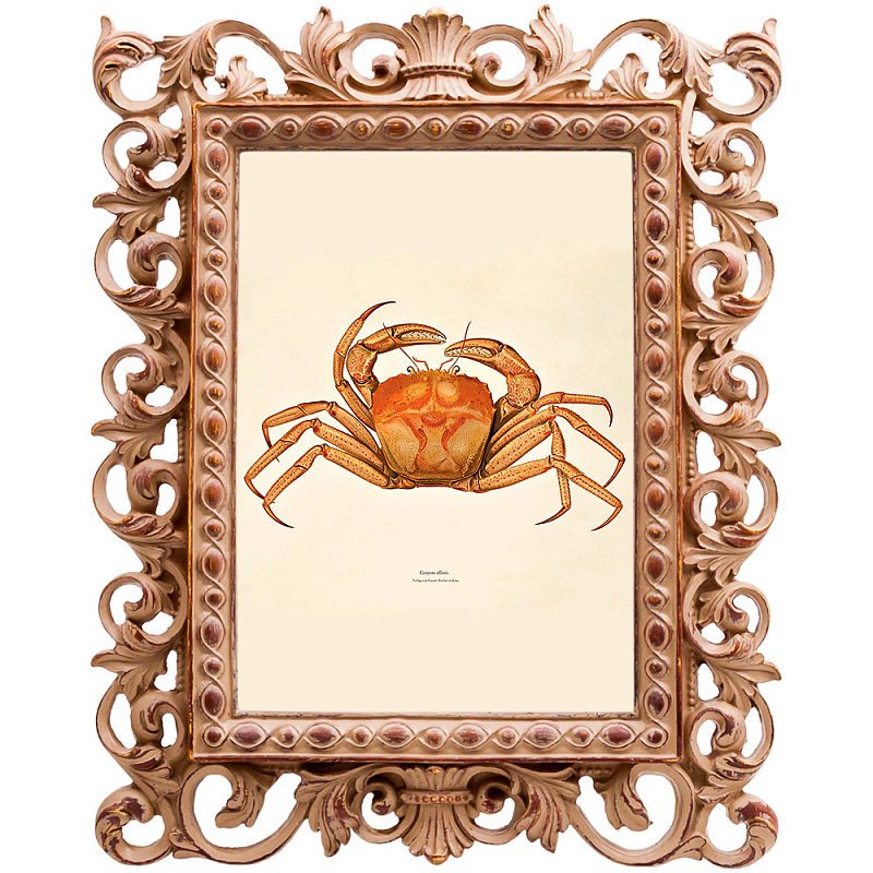 Постер Ocher Crab Poster Бежевый Оранжевый Постер Ocher Crab Poster Бежевый Оранжевый в Липецке | Loft Concept