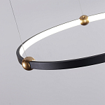 Люстра подвесная светодиодная черный металл Ring Horizontal варинант исполнения - 10 | Loft Concept в Липецке