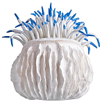 Статуэтка тропический фрукт Tropical Fruit White Blue варинант исполнения - 3 | Loft Concept в Липецке