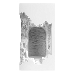 Встраиваемый в стену гипсовый светильник под покраску с эффектом разрушенной стены Antiquity Athena варинант исполнения - 2 | Loft Concept в Липецке