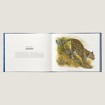 Лимитированная подарочная книга HERMES Fierce and Fragile book, English version варинант исполнения - 3 | Loft Concept в Липецке