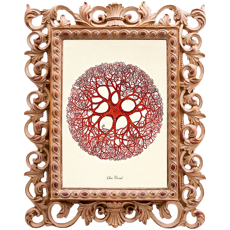 Постер Red Coral Poster 6 Бежевый Красный Постер Red Coral Poster 6 Бежевый Красный в Липецке | Loft Concept