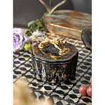 Шкатулка черного цвета с крышкой с фигуркой льва Eden Garden варинант исполнения - 6 | Loft Concept в Липецке