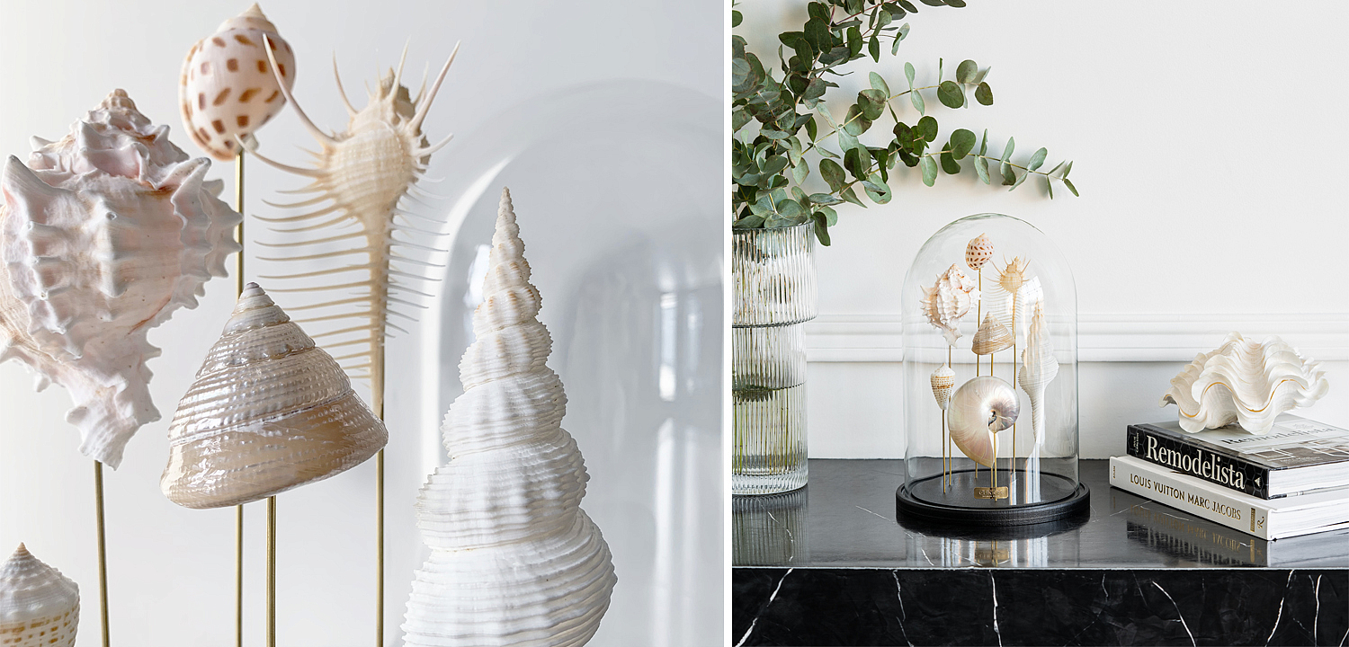 Статуэтка Shell Collection Glass Cloche 1 Статуэтка Shell Collection Glass Cloche 1 - Loft-Concept в Липецке