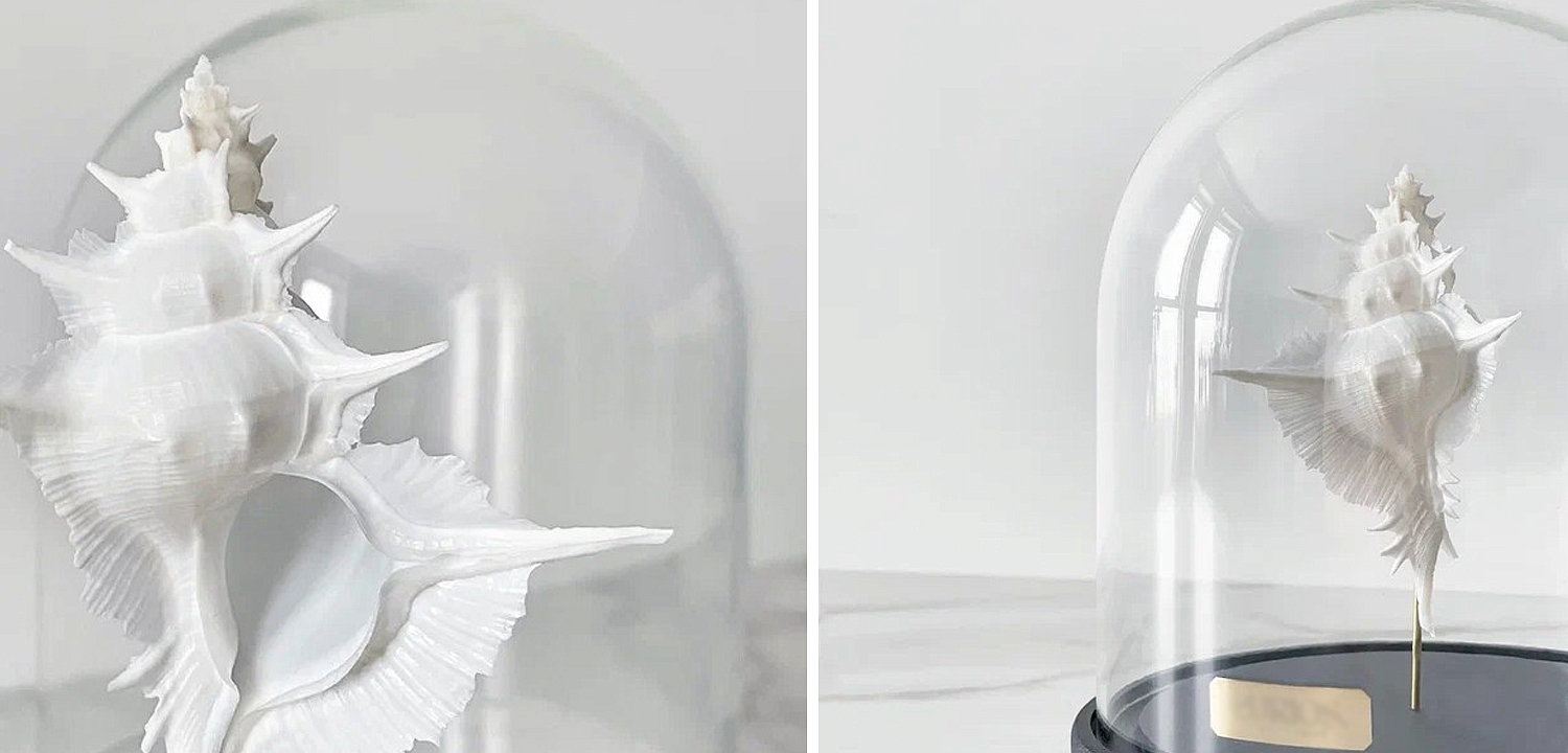 Статуэтка Murex Alabaster Glass Cloche Статуэтка Murex Alabaster Glass Cloche - Loft-Concept в Липецке