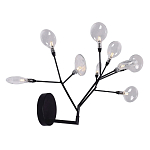 Бра в виде ветвей с прозрачными круглыми плафонами Moooi варинант исполнения - 2 | Loft Concept в Липецке