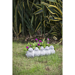 Кашпо Canaries варинант исполнения - 6 | Loft Concept в Липецке