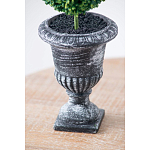 Декоративный искусственное растение Double boxwood варинант исполнения - 7 | Loft Concept в Липецке