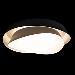 Потолочный светильник круглый черного цвета из металла Vita Cuna варинант исполнения - 1 | Loft Concept в Липецке