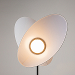 Напольный светильник Evolution 3000К 12Вт варинант исполнения - 5 | Loft Concept в Липецке