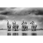 Книга Beusker. Look into my Eyes варинант исполнения - 4 | Loft Concept в Липецке