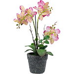 Декоративный искусственное растение Pink orchid варинант исполнения - 5 | Loft Concept в Липецке