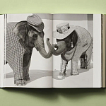 Книга в подарок творческий путь Брюса Вебера Bruce Weber. My Education варинант исполнения - 6 | Loft Concept в Липецке