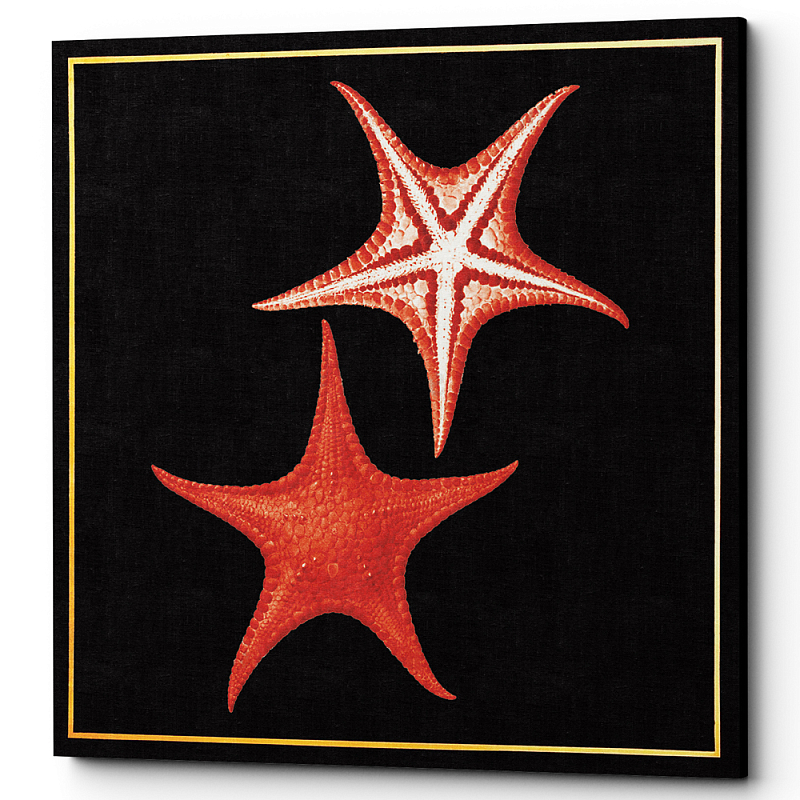 Постер Sea Stars Poster Черный Красный Постер Sea Stars Poster Черный Красный в Липецке | Loft Concept