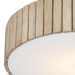 Потолочный светильник круглый светодиодный Contrasting Elements варинант исполнения - 1 | Loft Concept в Липецке