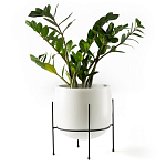 Кашпо из керамики Elevated Planters 32 варинант исполнения - 11 | Loft Concept в Липецке