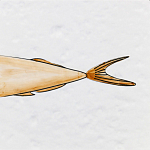 Плитка с узором Рыба Русалка варинант исполнения - 6 | Loft Concept в Липецке