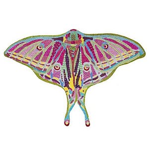 Картина “Spanish Moon Moth Butterfly Cut Out”