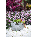 Кашпо A collection of baby rabbits варинант исполнения - 9 | Loft Concept в Липецке