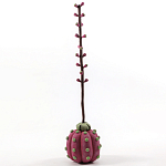 Статуэтка тропический фрукт Pandora Tropical Fruit Tall Pink Green варинант исполнения - 3 | Loft Concept в Липецке