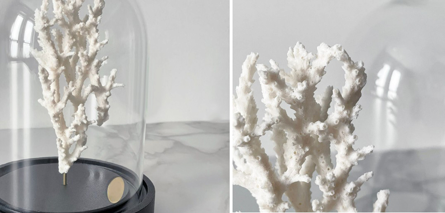 Статуэтка White Coral Glass Cloche Статуэтка White Coral Glass Cloche - Loft-Concept в Липецке