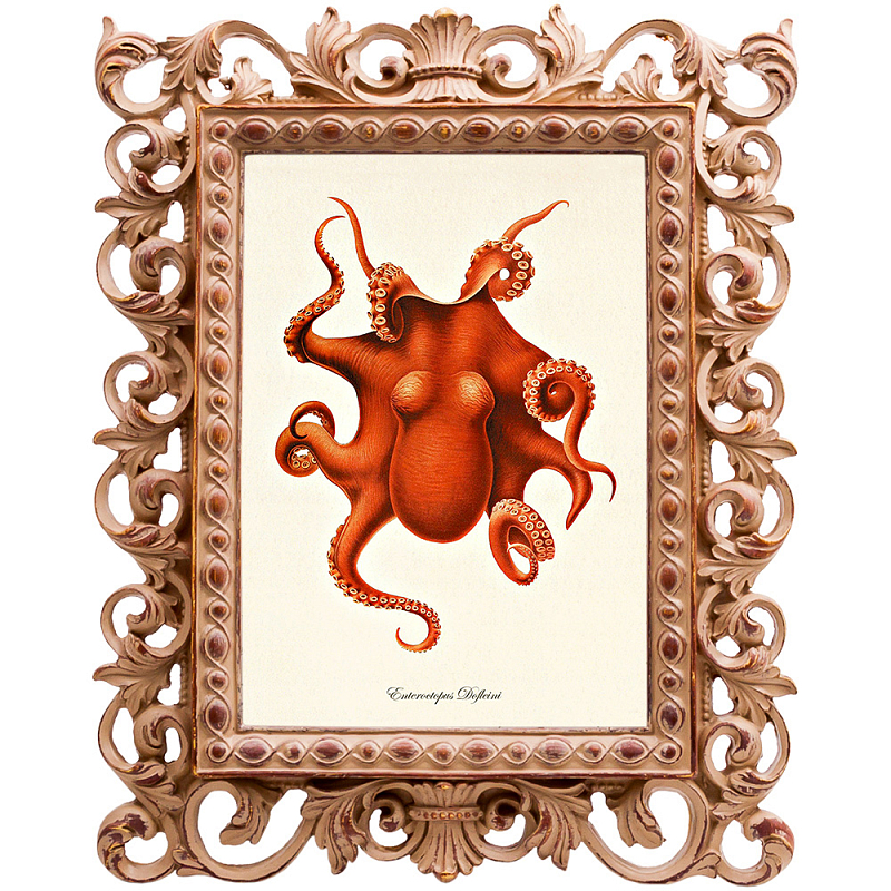 Постер Red Octopus Poster Бежевый Красный Постер Red Octopus Poster Бежевый Красный в Липецке | Loft Concept