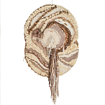 Овальный Современный Гобелен Абстракция в бежевых тонах Shallow варинант исполнения - 7 | Loft Concept в Липецке