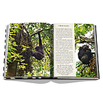 Подарочнный коллекционный фото альбом AFRICAN ADVENTURES NEW 2023 ASSOULINE HC UNBELIEVABLE ILLUSTRATIONS Safari варинант исполнения - 8 | Loft Concept в Липецке
