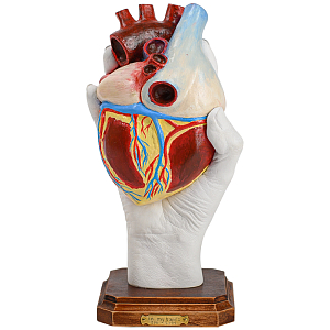 Статуэтка Heart "In my hands"