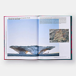 Radical Architecture of the Future варинант исполнения - 4 | Loft Concept в Липецке