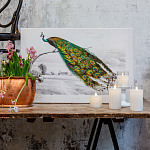 Постер на холсте с изображением павлина на ветке Majestic Peacock on a Tree Poster варинант исполнения - 2 | Loft Concept в Липецке