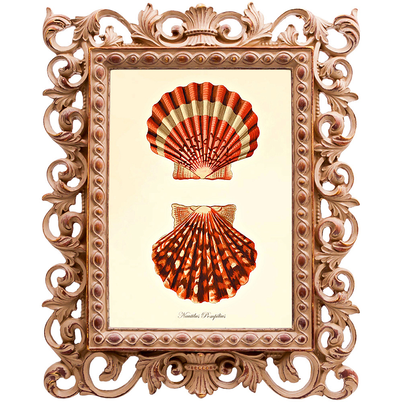 Постер Red Scallop Poster Бежевый Красный в Липецке | Loft Concept 