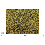 Редкое подарочное издание Yayoi Kusama: 1945 to Now варинант исполнения - 7 | Loft Concept в Липецке