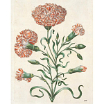 Книга цветов 22 постера Maria Sibylla Merian: 22 Pull-Out Posters варинант исполнения - 4 | Loft Concept в Липецке