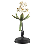 Статуэтка Wonderboom варинант исполнения - 1 | Loft Concept в Липецке