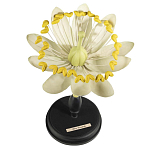 Статуэтка Tilia варинант исполнения - 1 | Loft Concept в Липецке