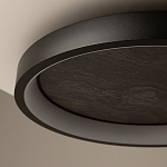 Потолочный светильник Orign 3000К варинант исполнения - 5 | Loft Concept в Липецке