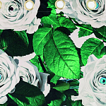 Штора Seletti Roses варинант исполнения - 1 | Loft Concept в Липецке