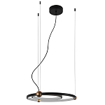 Люстра подвесная светодиодная черный металл Ring Horizontal варинант исполнения - 2 | Loft Concept в Липецке