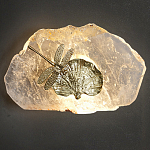 Бра Декоративный лист с стрекозой Glacial Fragment варинант исполнения - 2 | Loft Concept в Липецке