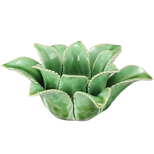 Статуэтка Gasteria