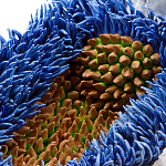 Дизайнерская статуэтка для интерьера Tropical Fruit Pandora 12 варинант исполнения - 3 | Loft Concept в Липецке