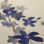 Обои ручная роспись Cherry Tree Original colourway on Stone Ochre dyed silk варинант исполнения - 3 | Loft Concept в Липецке