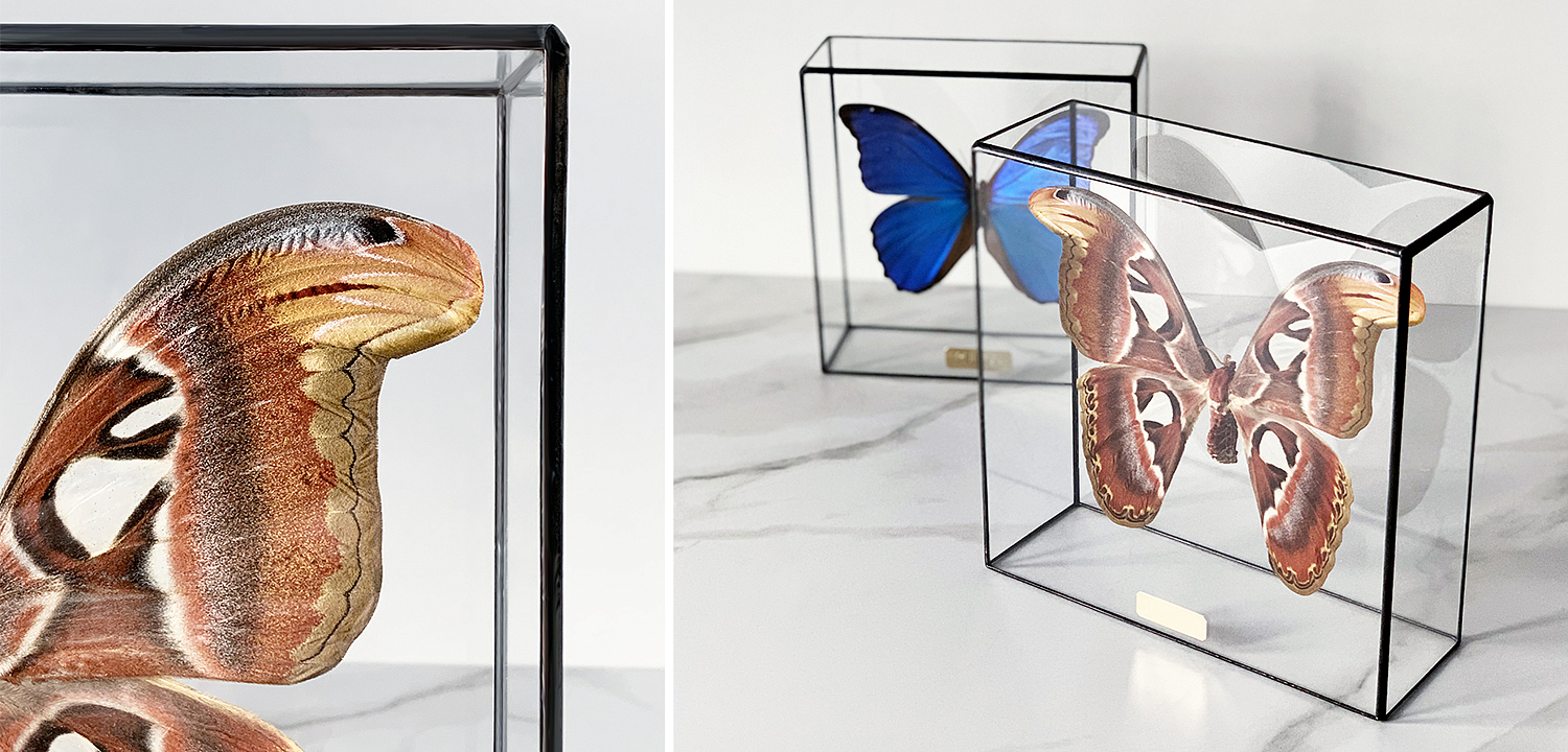 Статуэтка Butterfly Atlas Glass Box Статуэтка Butterfly Atlas Glass Box - Loft-Concept в Липецке