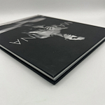 Коллекционная редкая книга Madonna: Nudes + by Martin H.M. Schreiber 2017 Букинистика варинант исполнения - 4 | Loft Concept в Липецке